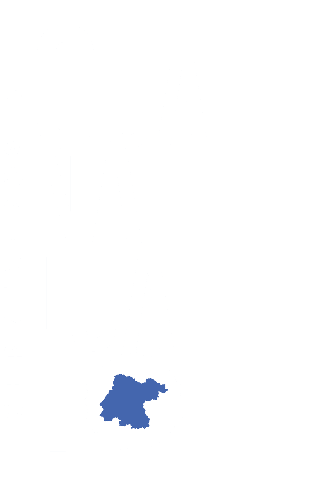 Cerveceros de Guanajuato logo